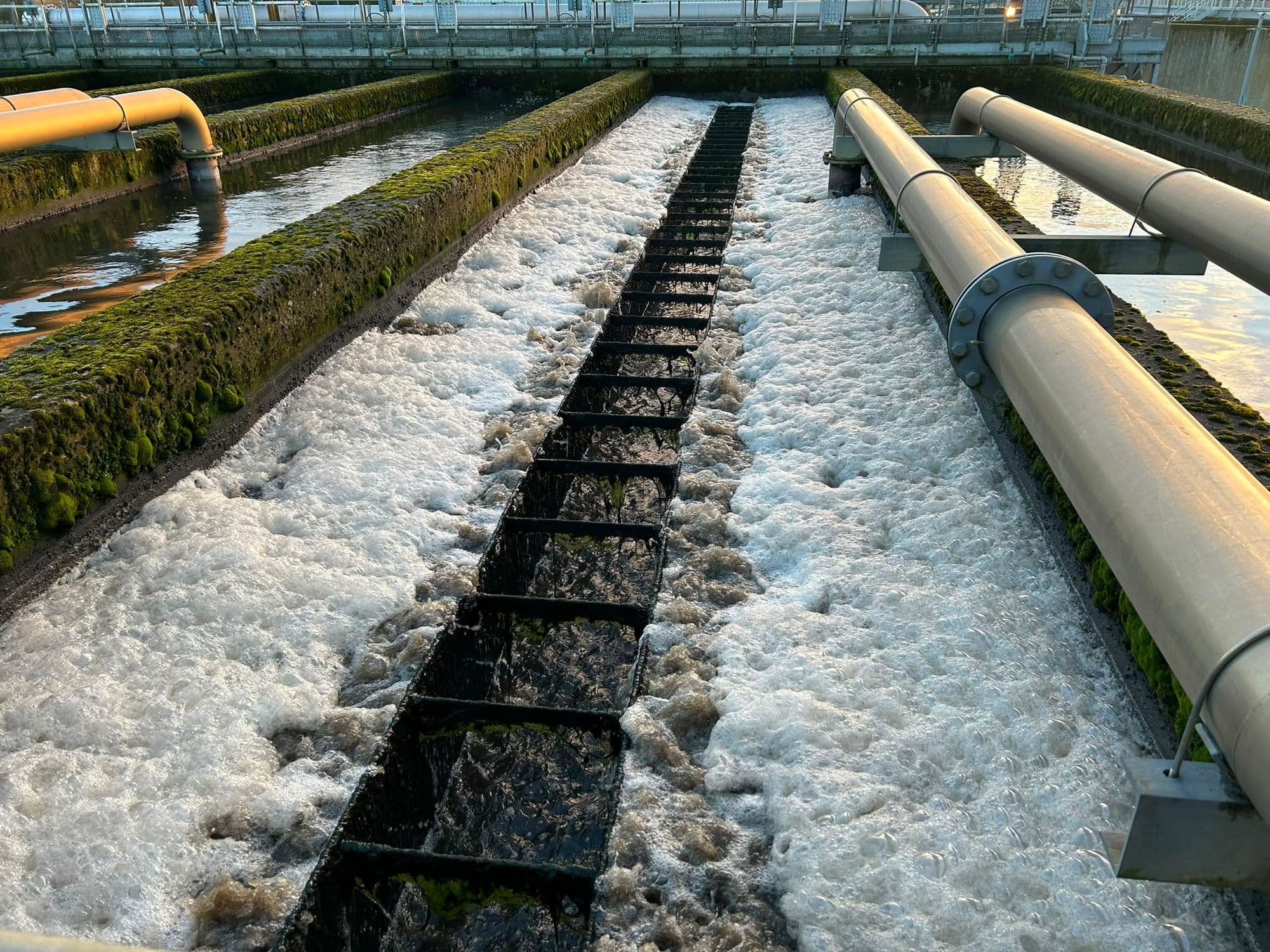 Activated sludge lane foaming over the diffuser grid in golden evening light