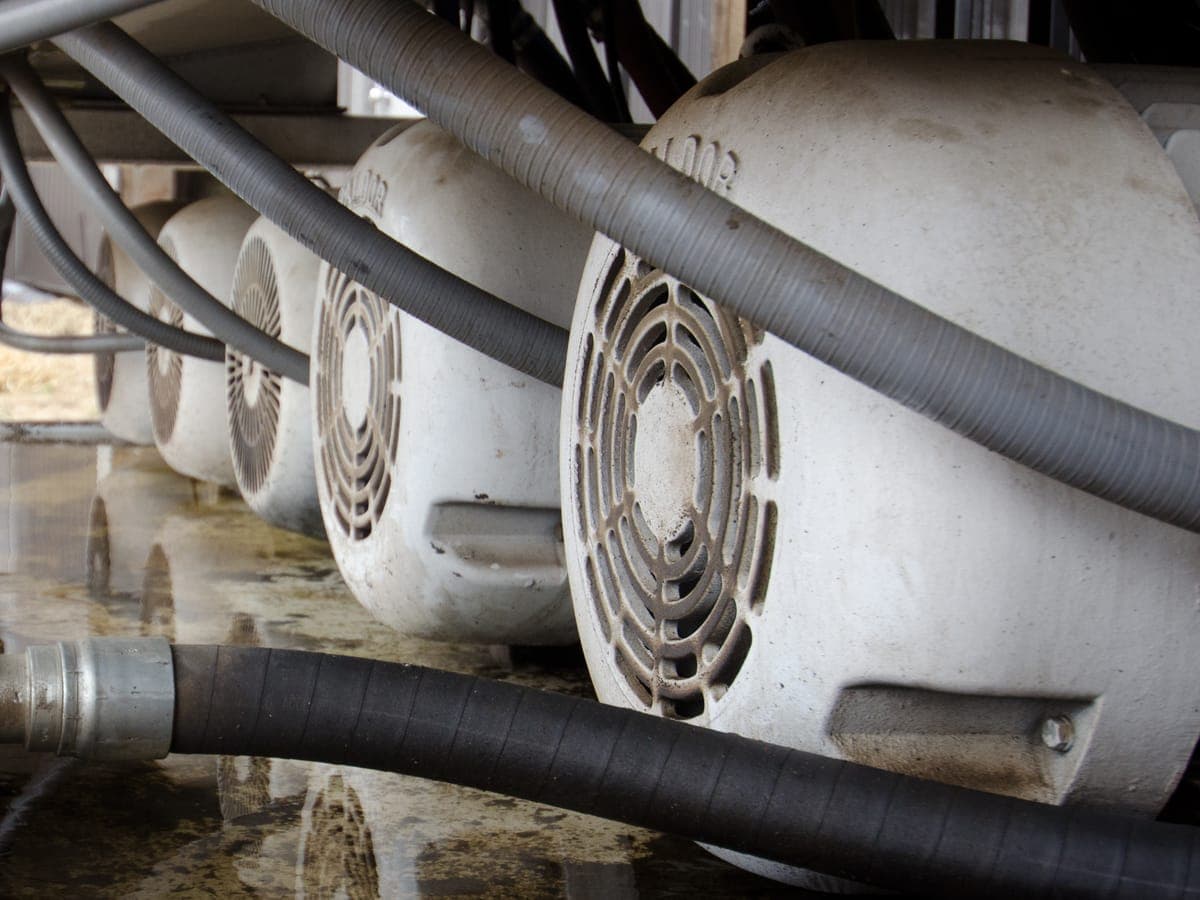 Row of fan-cooled electric motors with flexible conduit and hoses, installed under plant equipment