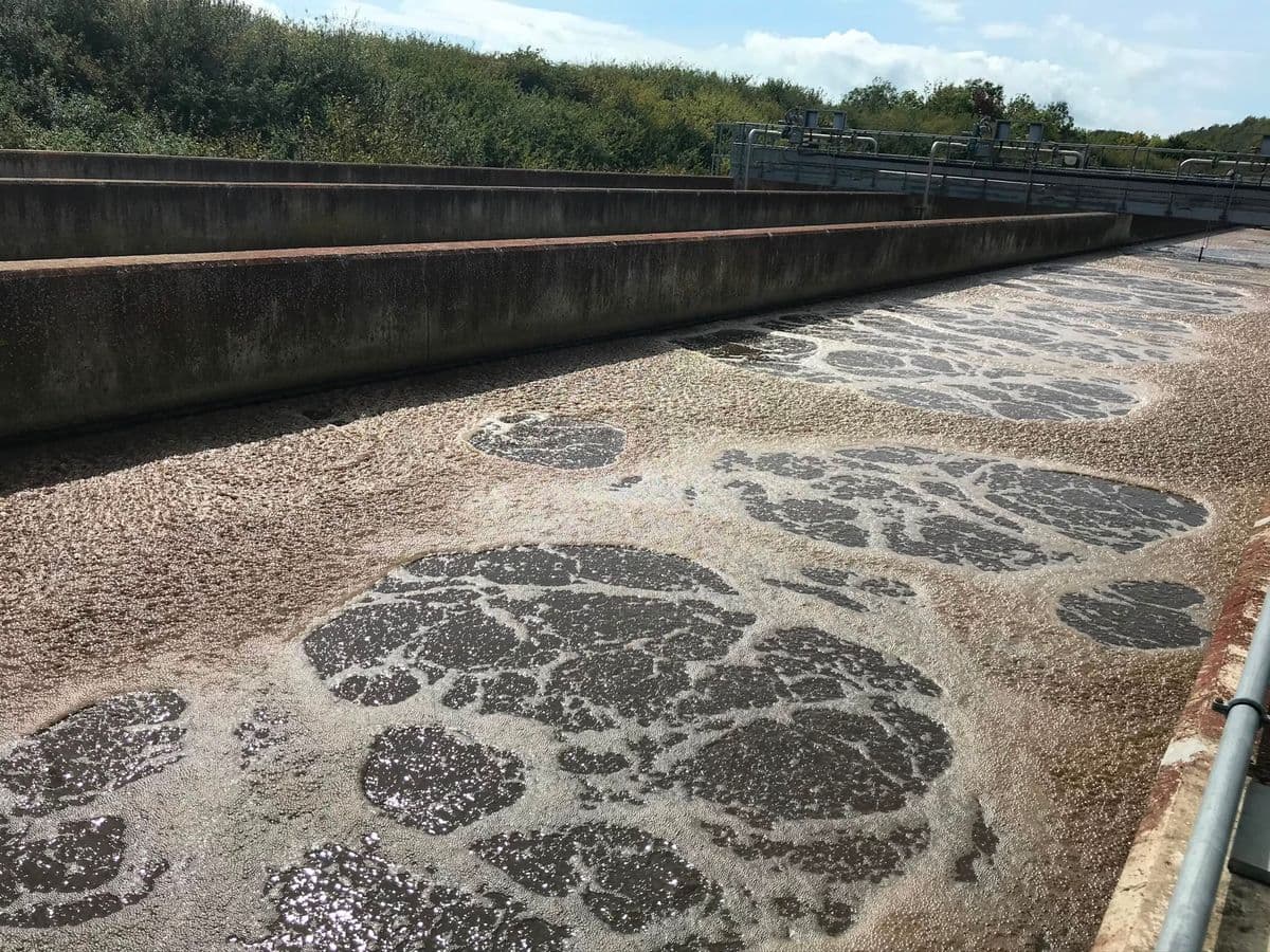 Brown foam blanket across concrete aeration lanes in bright sunshine